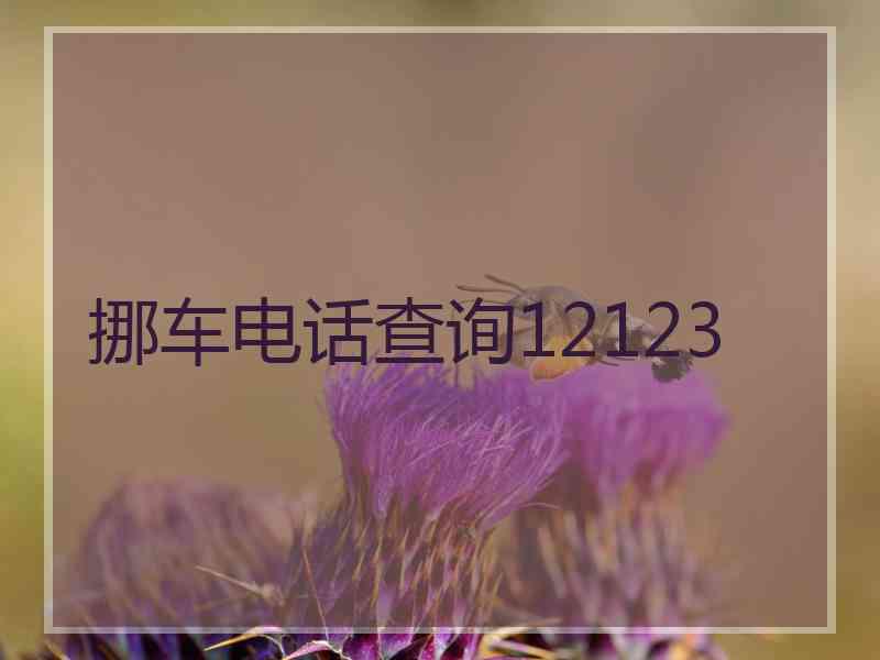 挪车电话查询12123