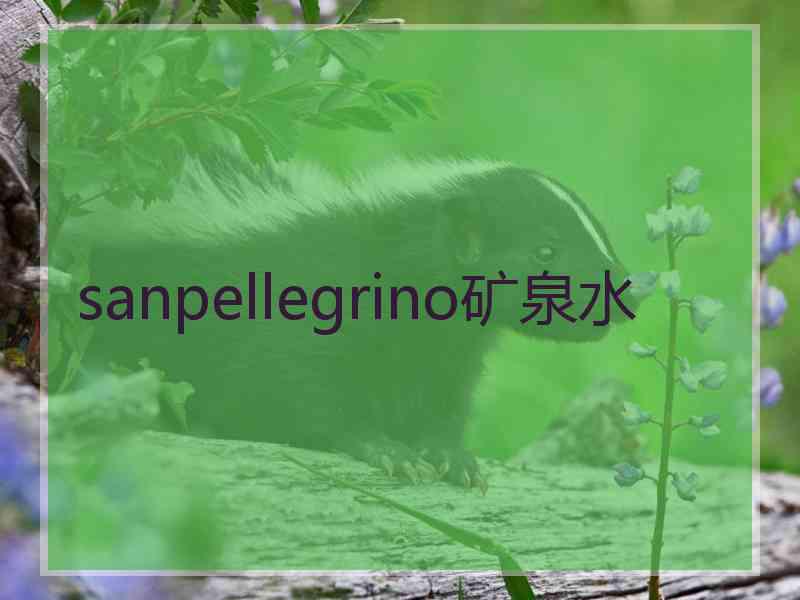 sanpellegrino矿泉水