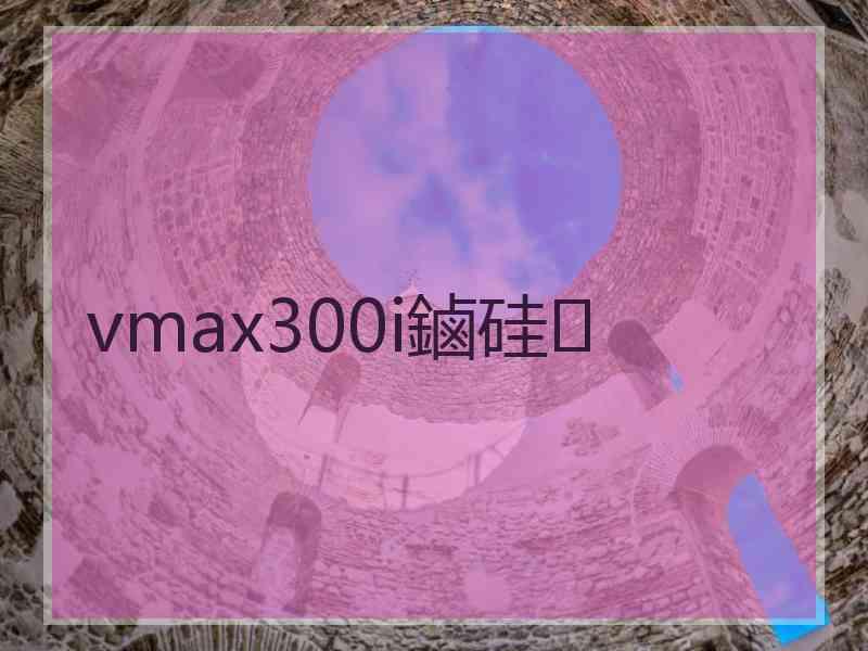 vmax300i鏀硅