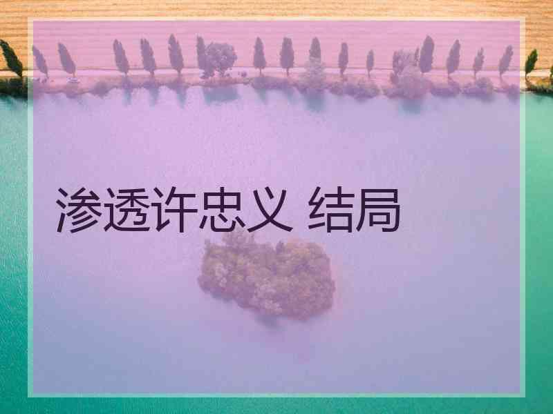 渗透许忠义 结局