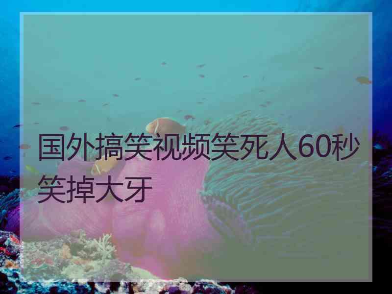 国外搞笑视频笑死人60秒笑掉大牙