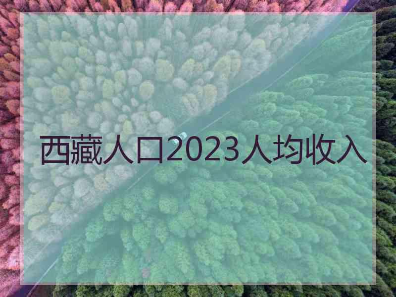 西藏人口2023人均收入