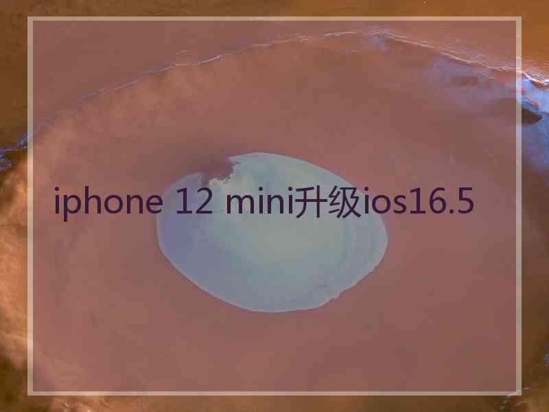 iphone 12 mini升级ios16.5