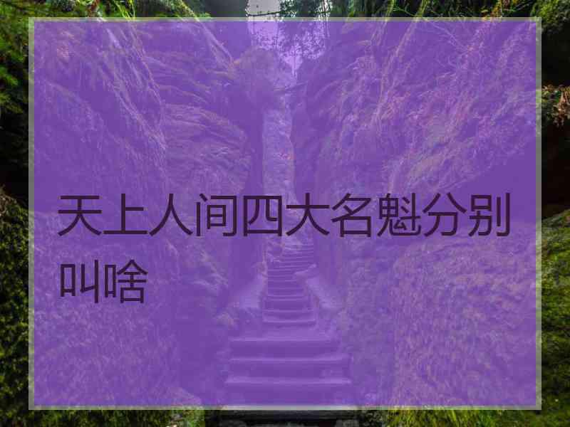 天上人间四大名魁分别叫啥