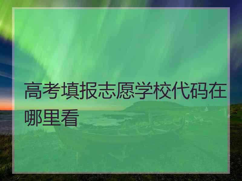 高考填报志愿学校代码在哪里看