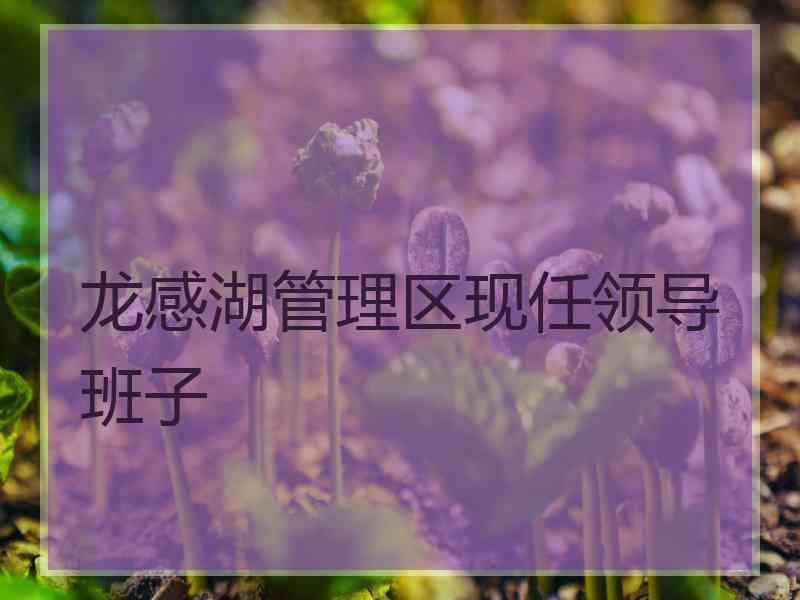 龙感湖管理区现任领导班子