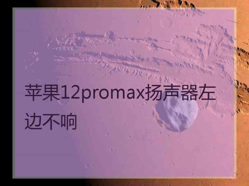 苹果12promax扬声器左边不响