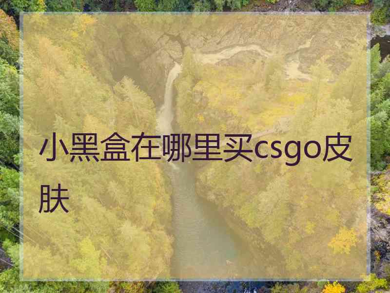 小黑盒在哪里买csgo皮肤