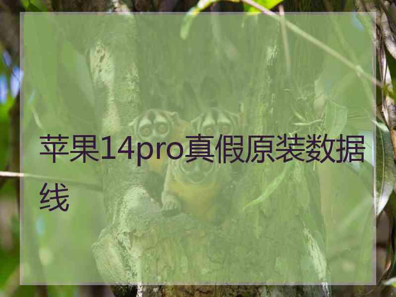 苹果14pro真假原装数据线