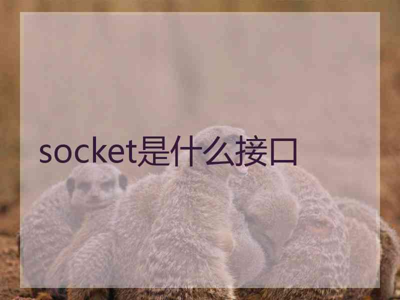 socket是什么接口