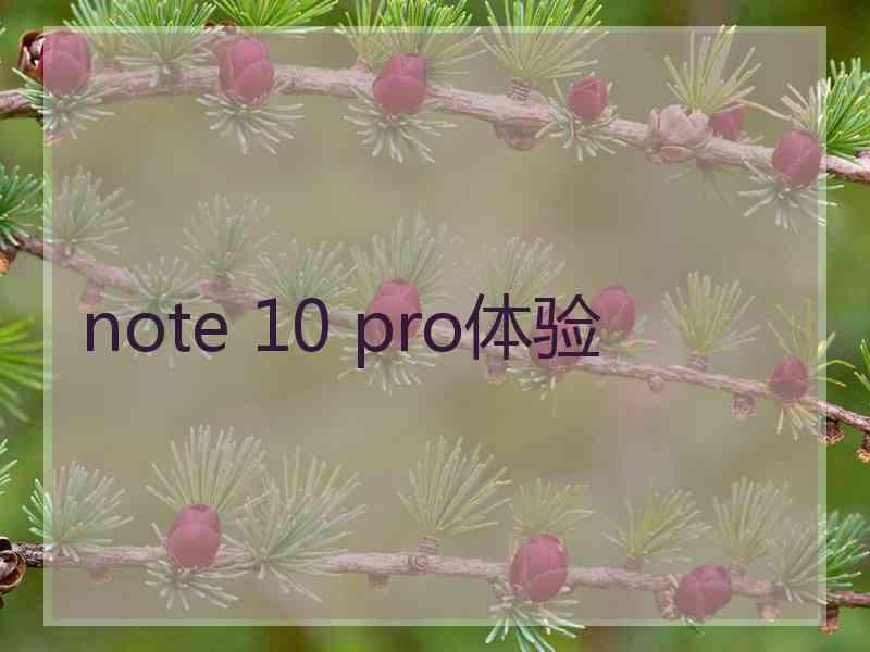 note 10 pro体验