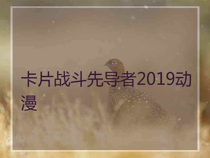 卡片战斗先导者2019动漫