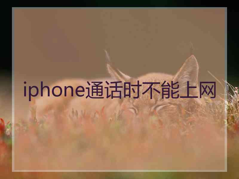 iphone通话时不能上网