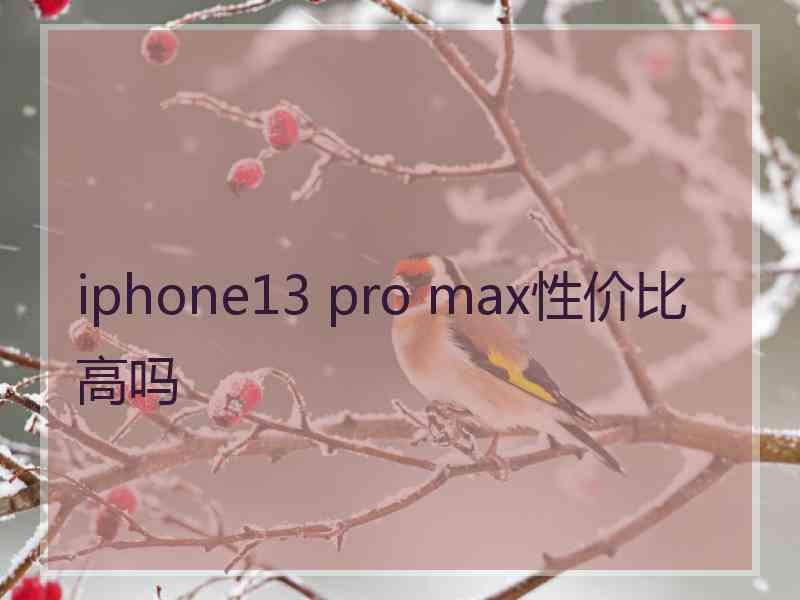 iphone13 pro max性价比高吗