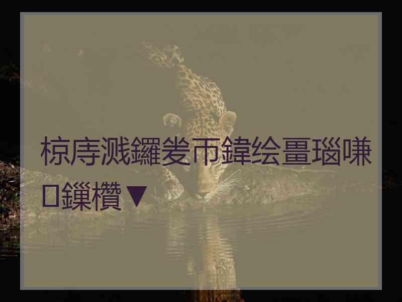 椋庤溅鑼夎帀鍏绘畺瑙嗛鏁欑▼