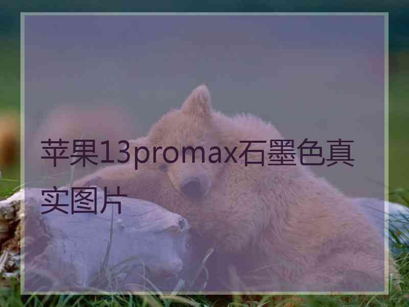 苹果13promax石墨色真实图片