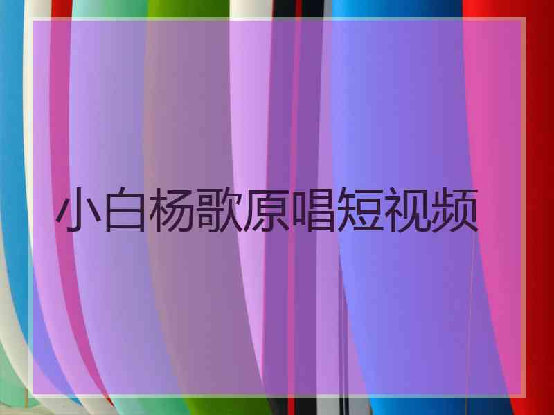 小白杨歌原唱短视频