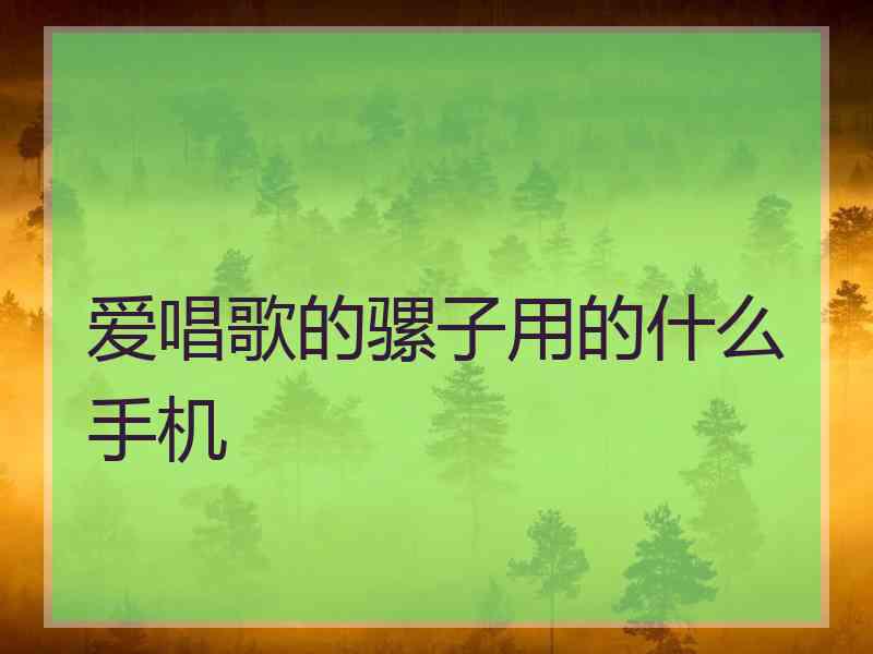 爱唱歌的骡子用的什么手机