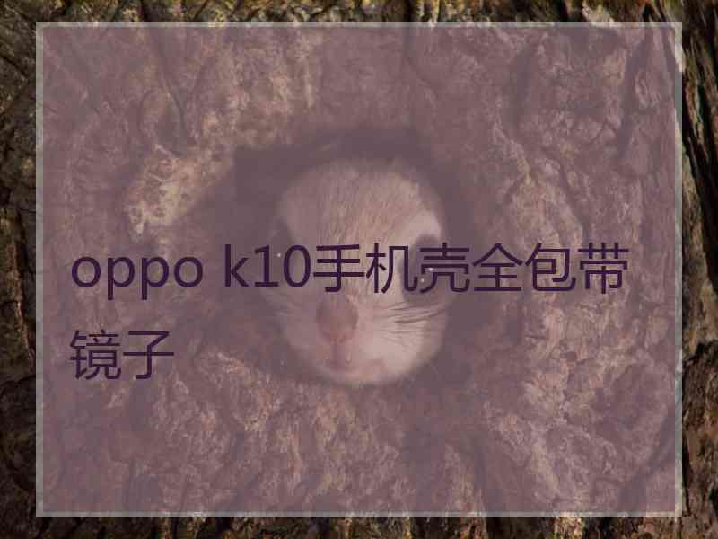 oppo k10手机壳全包带镜子