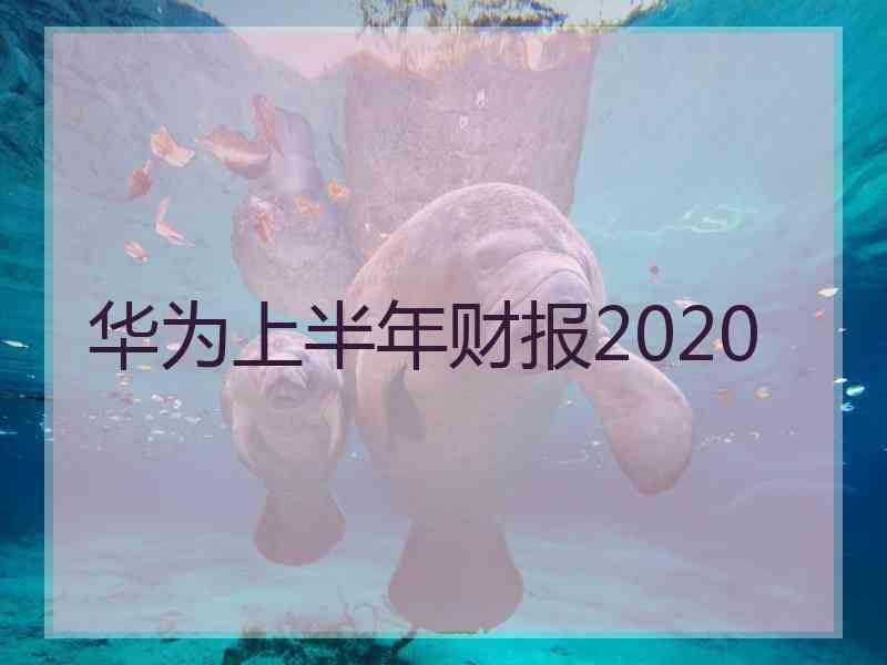 华为上半年财报2020