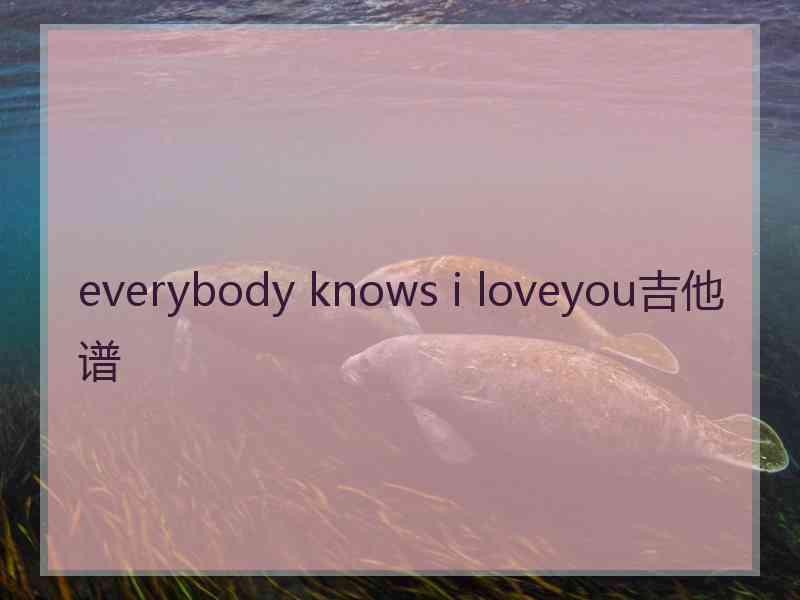 everybody knows i loveyou吉他谱