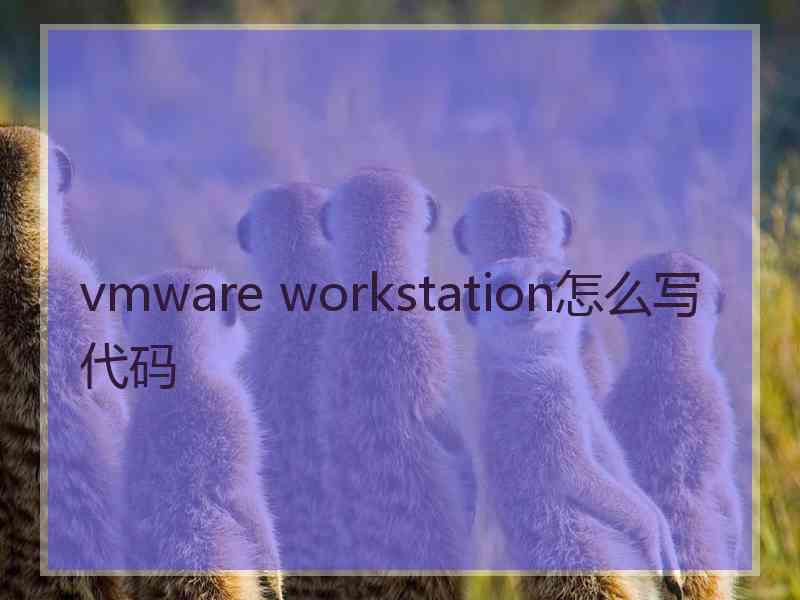 vmware workstation怎么写代码