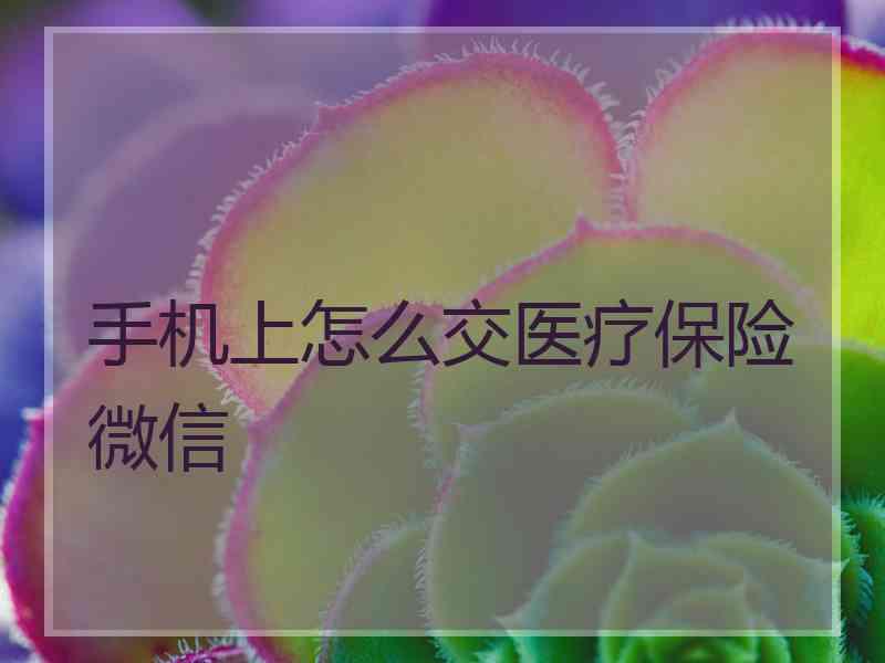 手机上怎么交医疗保险微信