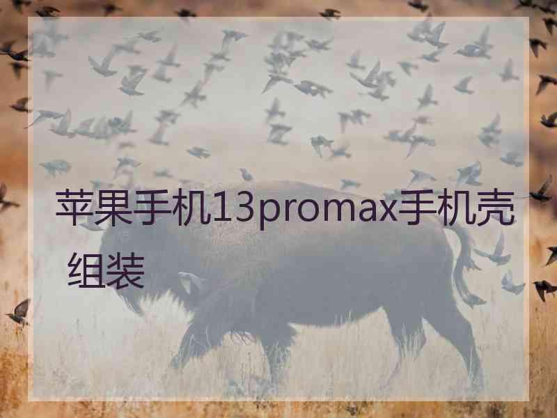 苹果手机13promax手机壳 组装