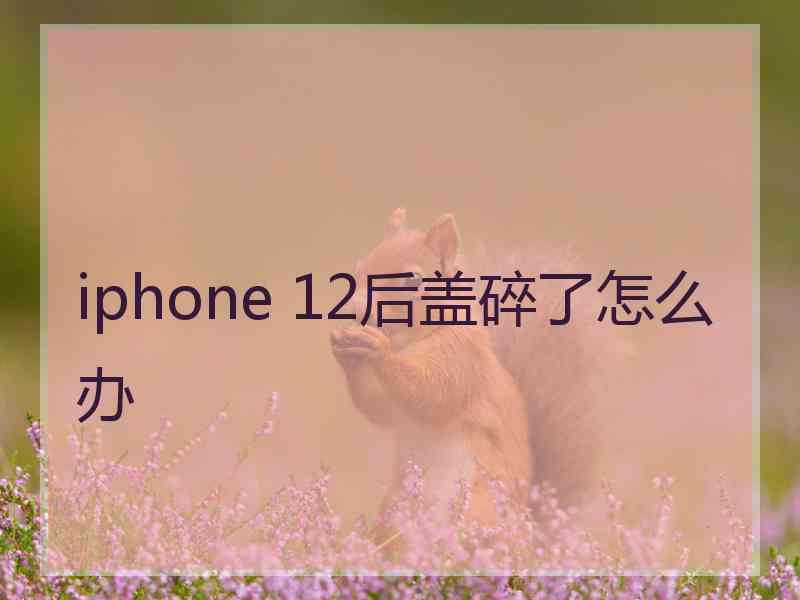 iphone 12后盖碎了怎么办