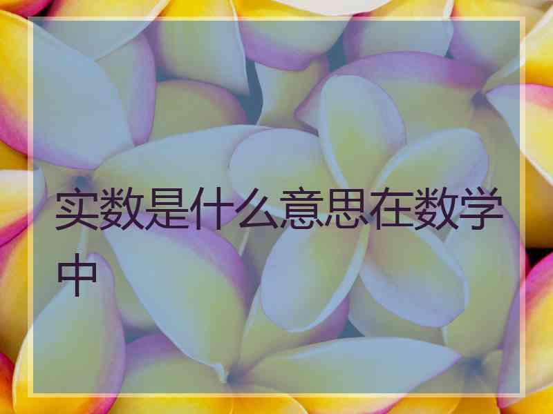 实数是什么意思在数学中