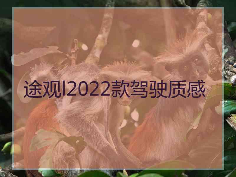 途观l2022款驾驶质感