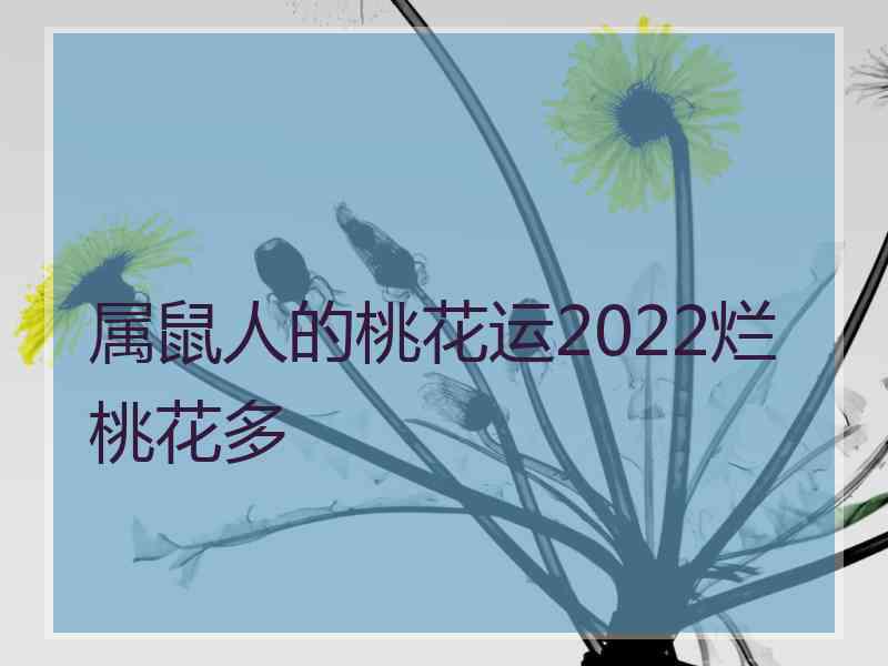 属鼠人的桃花运2022烂桃花多