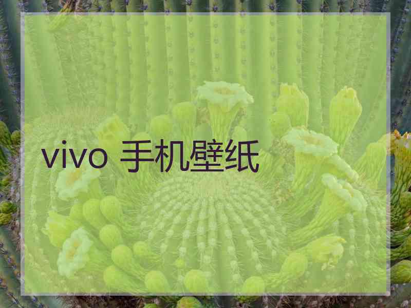 vivo 手机壁纸