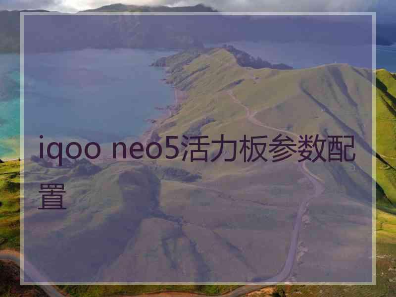 iqoo neo5活力板参数配置