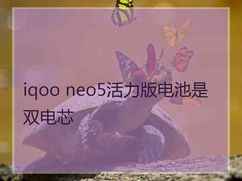 iqoo neo5活力版电池是双电芯