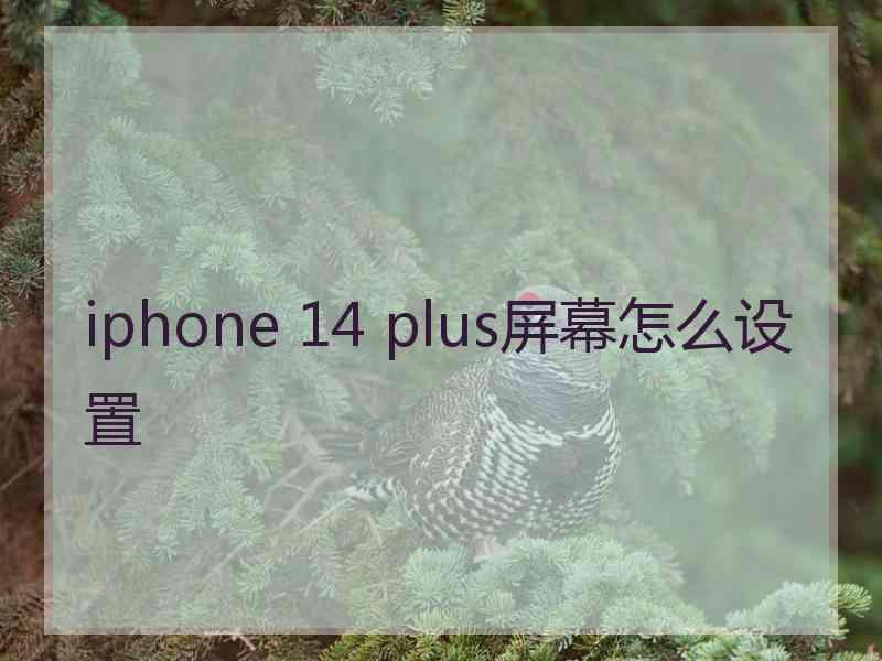 iphone 14 plus屏幕怎么设置