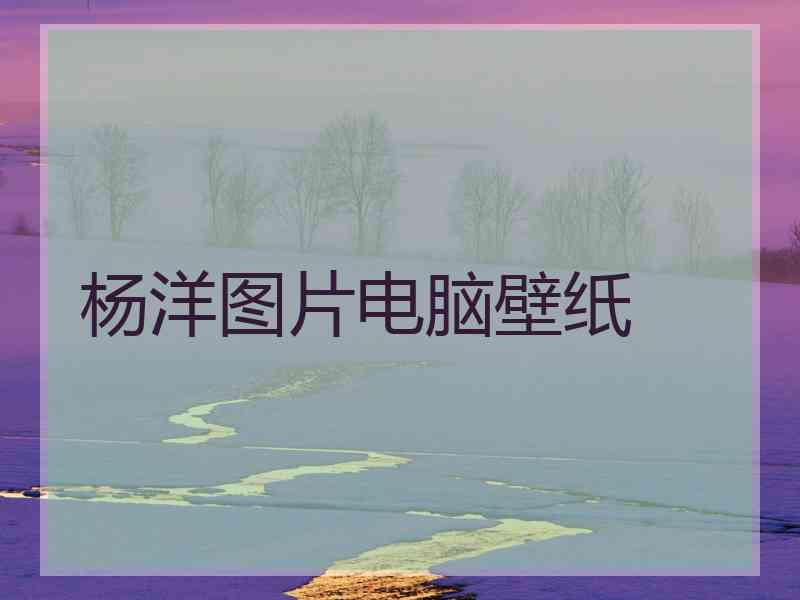 杨洋图片电脑壁纸