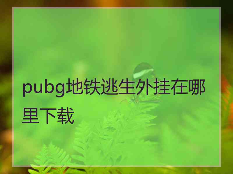 pubg地铁逃生外挂在哪里下载