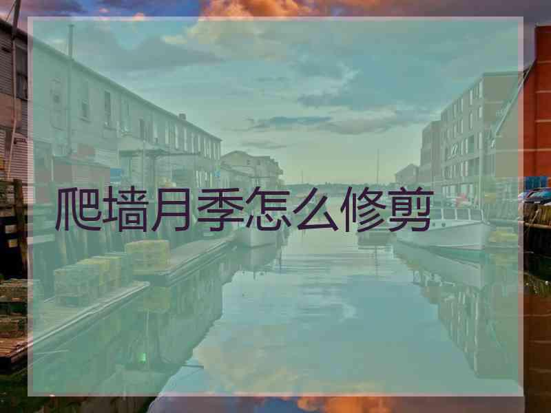 爬墙月季怎么修剪