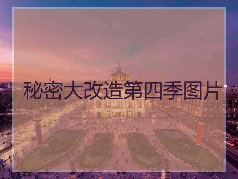 秘密大改造第四季图片