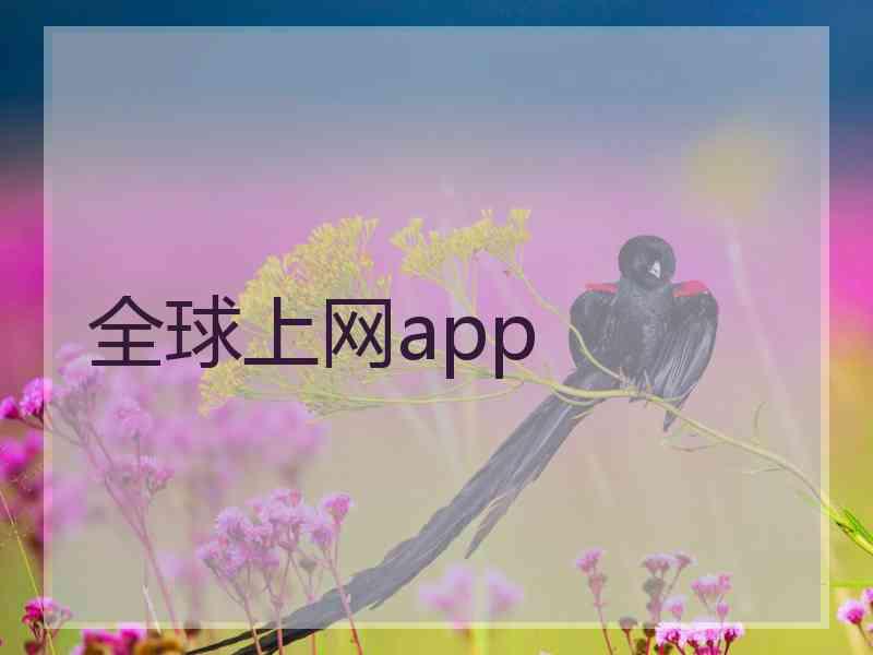 全球上网app