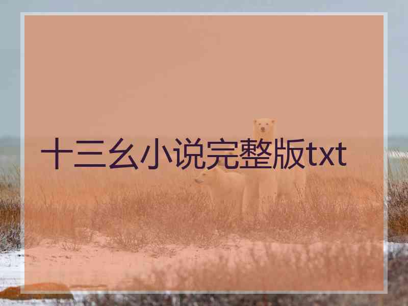 十三幺小说完整版txt