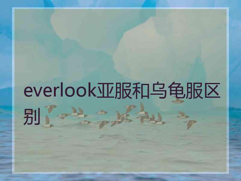 everlook亚服和乌龟服区别