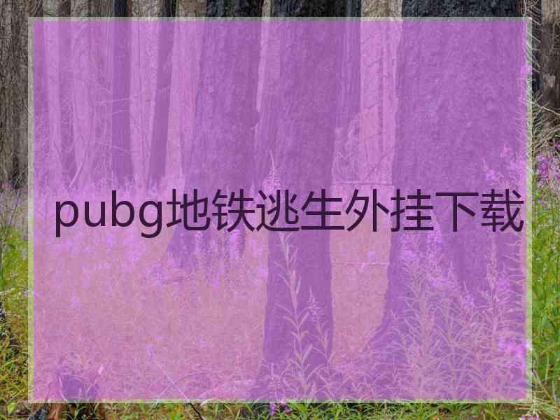 pubg地铁逃生外挂下载