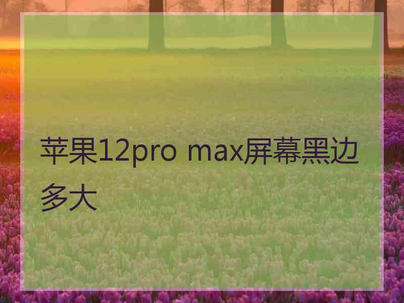 苹果12pro max屏幕黑边多大