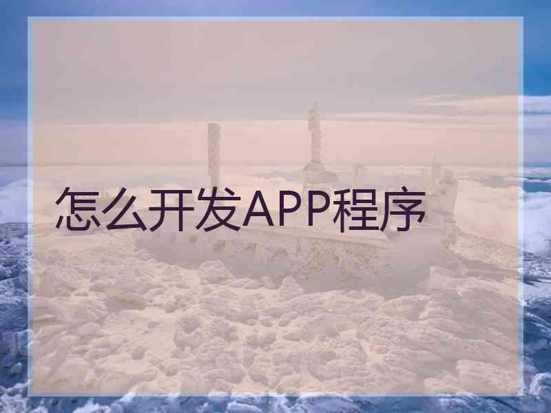 怎么开发APP程序