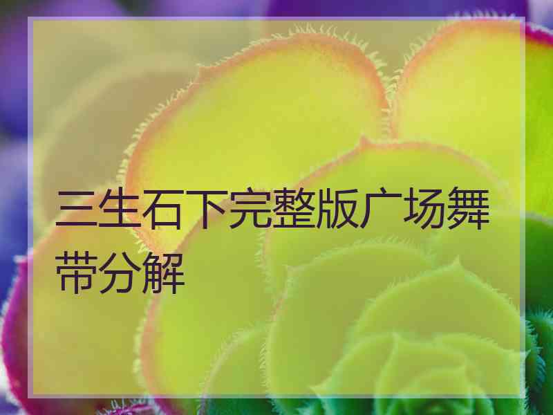 三生石下完整版广场舞带分解