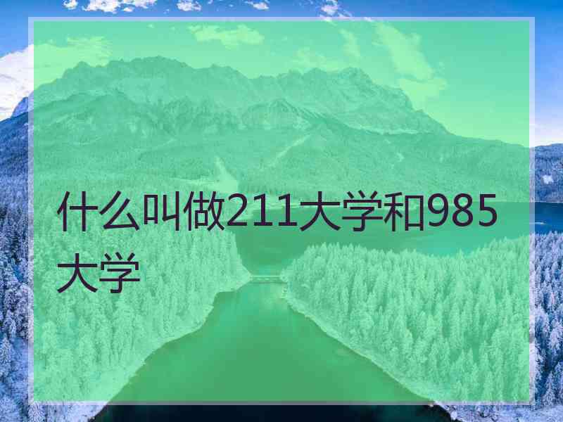 什么叫做211大学和985大学