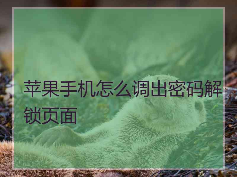 苹果手机怎么调出密码解锁页面