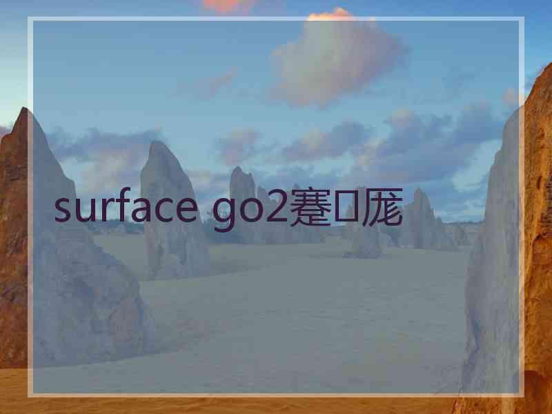 surface go2蹇厖